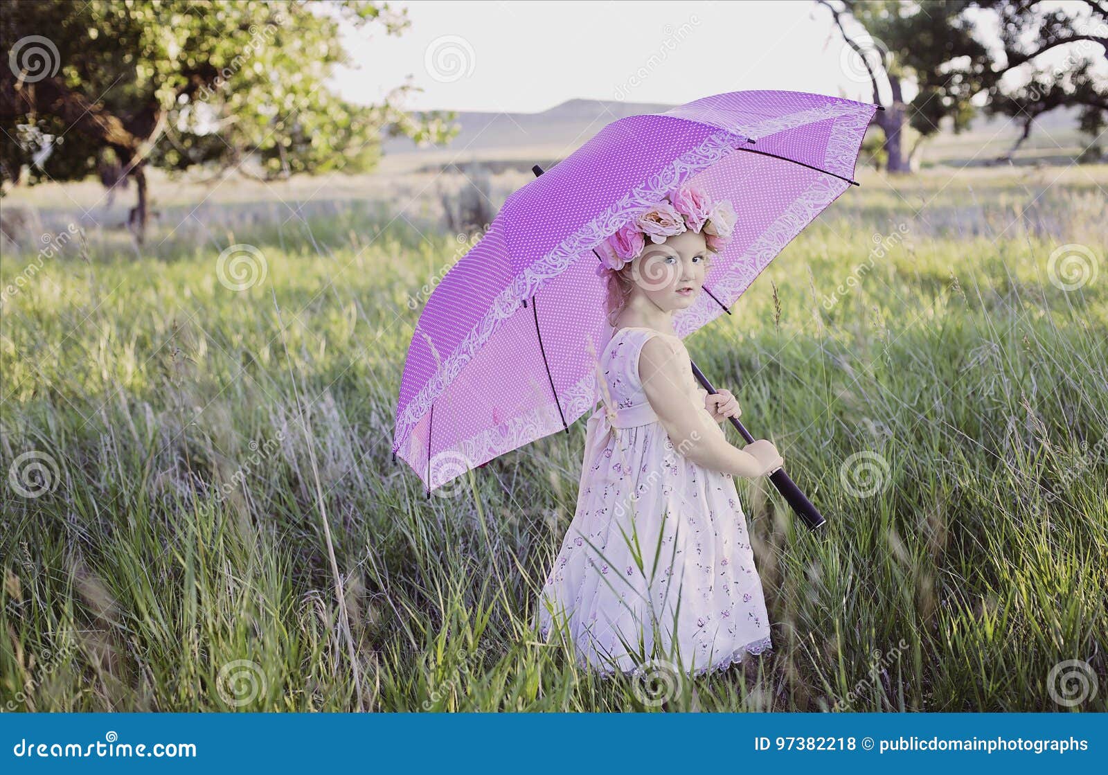 umbrella summer by lisa graff umbrella summer by lisa graff