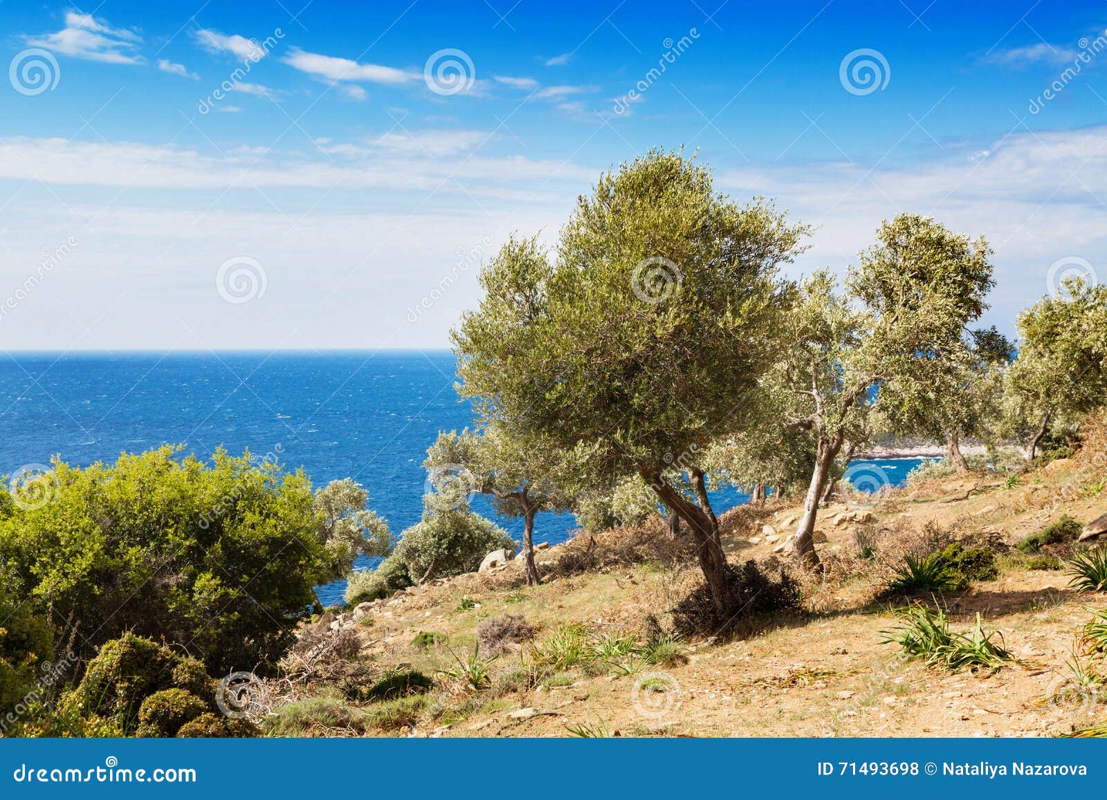 Assos village Mediterranean Sea, Greece. Summer vacation on Greek Island.  by Igor Tichonow. Photo stock - StudioNow