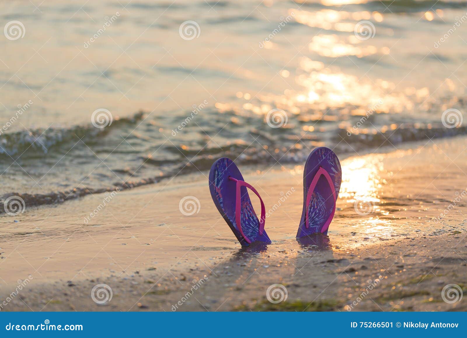 Summer Vacation Concept. Colorful Flip Flops on the Sandy Beach during ...