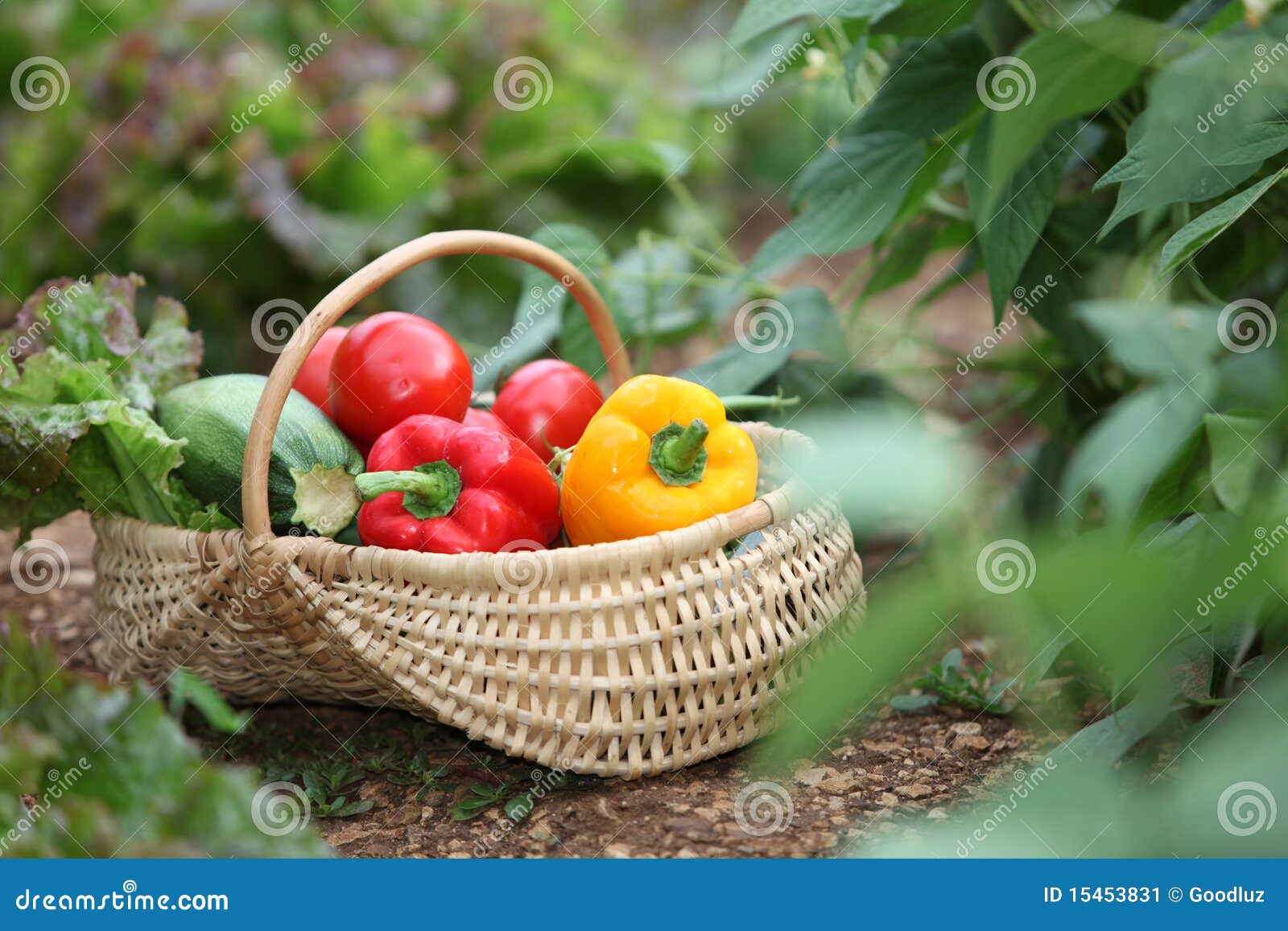Summer vegetables stock image. Image of tomatoes, vegetables 15453831