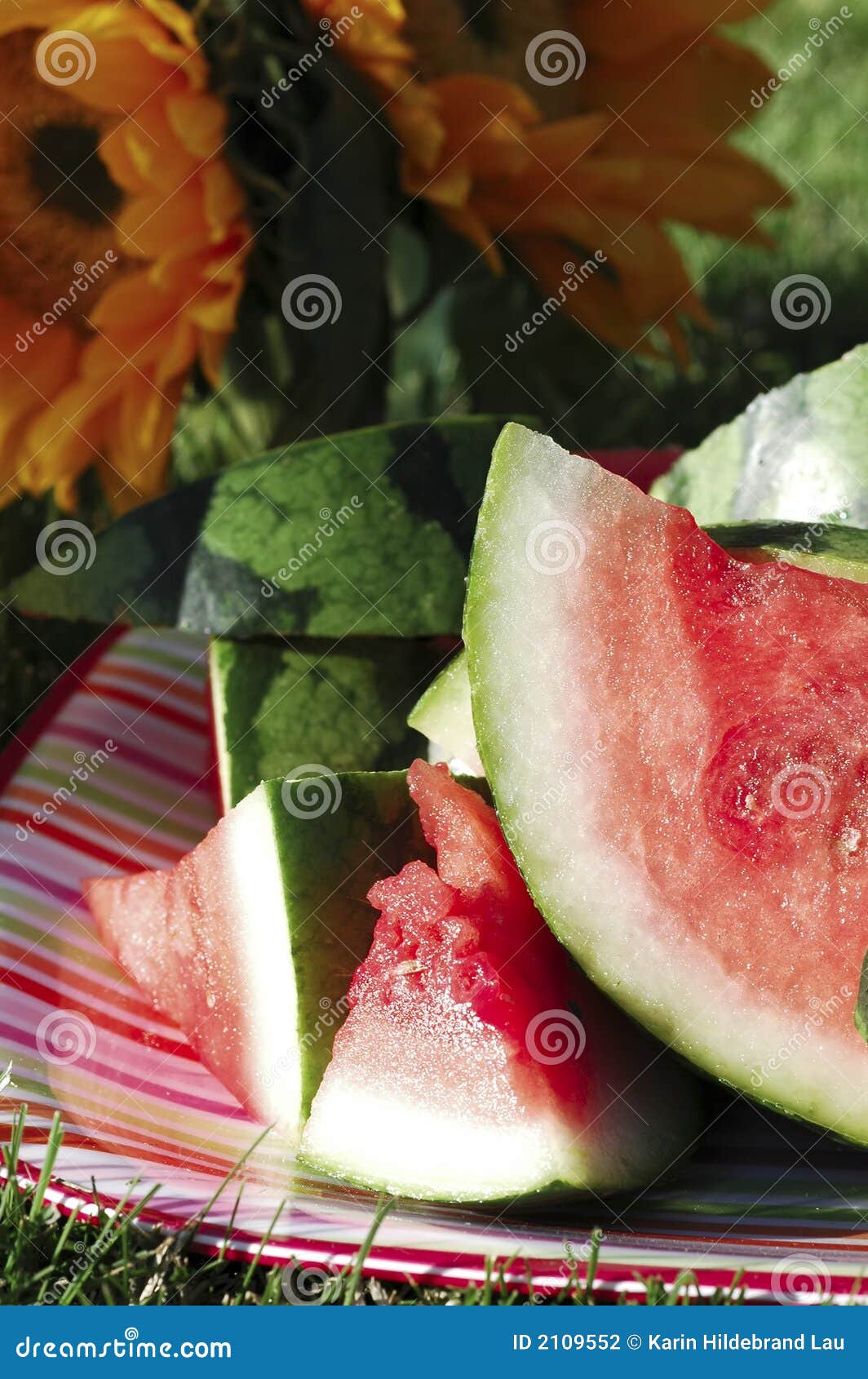 Summer Watermelon stock photo. Image of late, macro, shadow 2109552