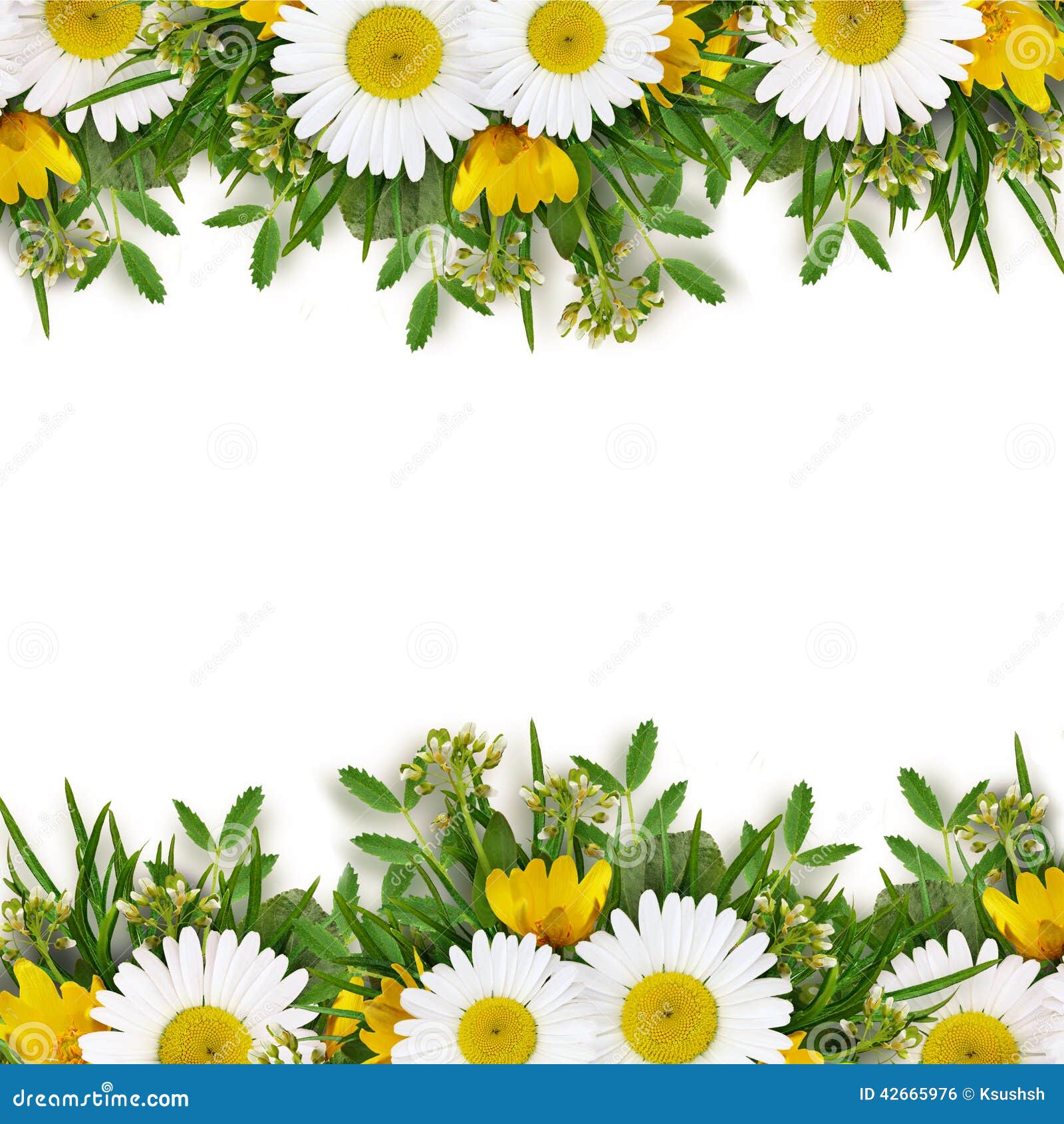 Summer wild flowers edges stock photo. Image of holiday 42665976