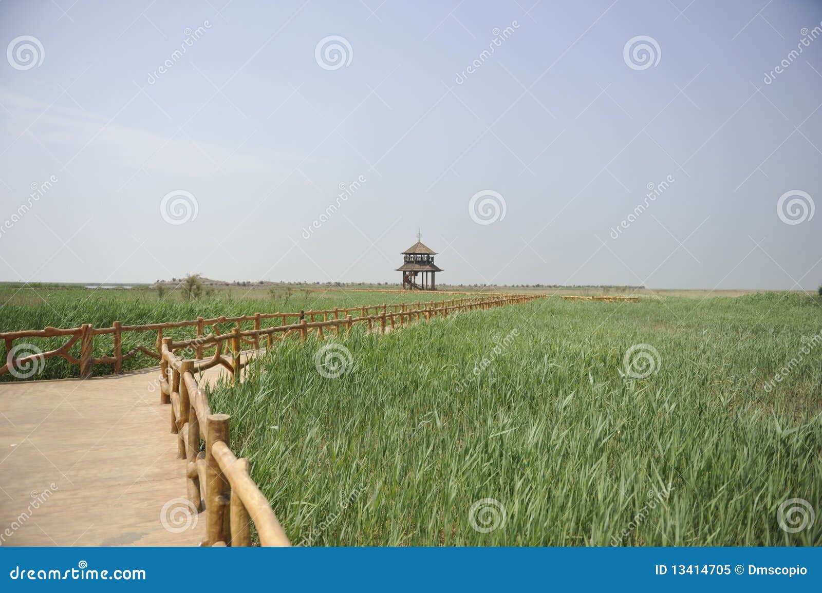 Summerhouse in the Reed Field Stock Image Image of china, arbor 13414705
