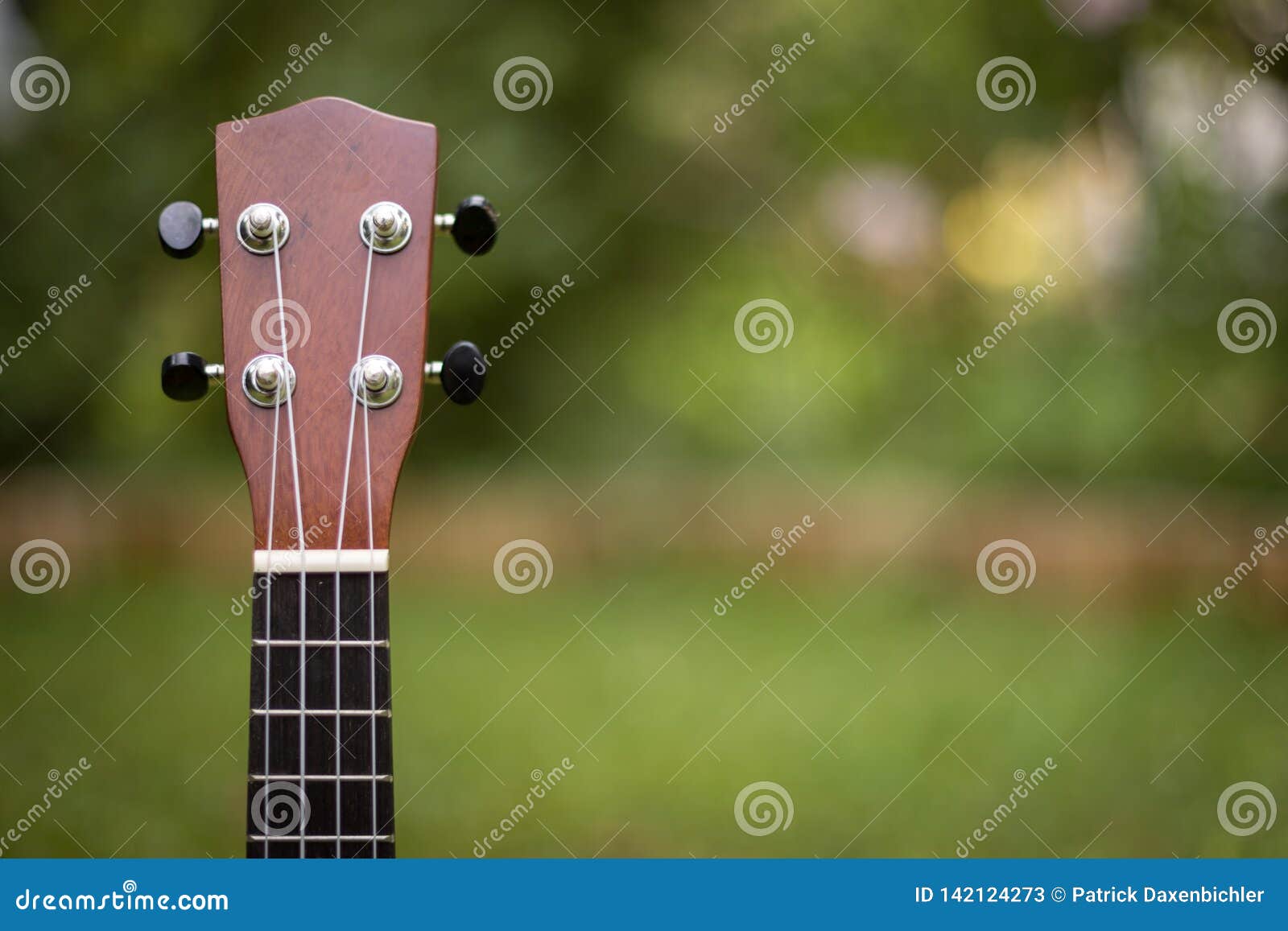 Summertime Ukulele Lying in the Grass, Park Stock Image Image of