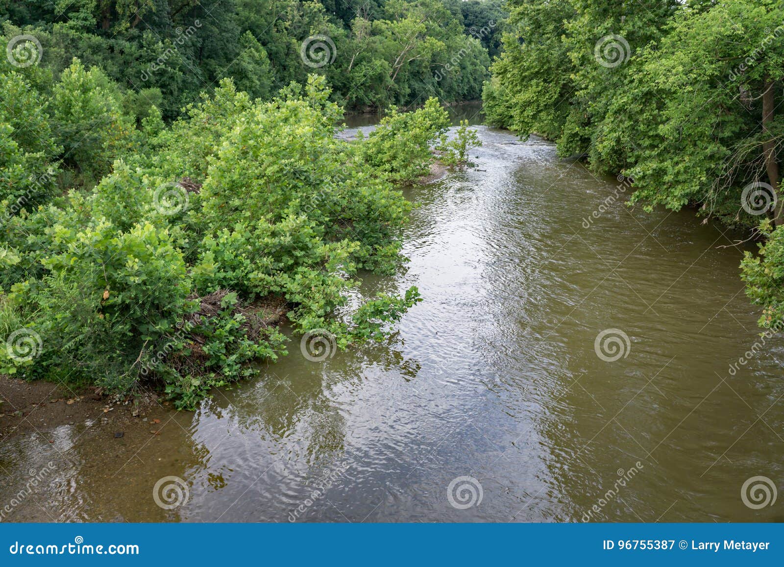 Summertime View of the Roanoke River Stock Image Image of overpass, beautiful 96755387