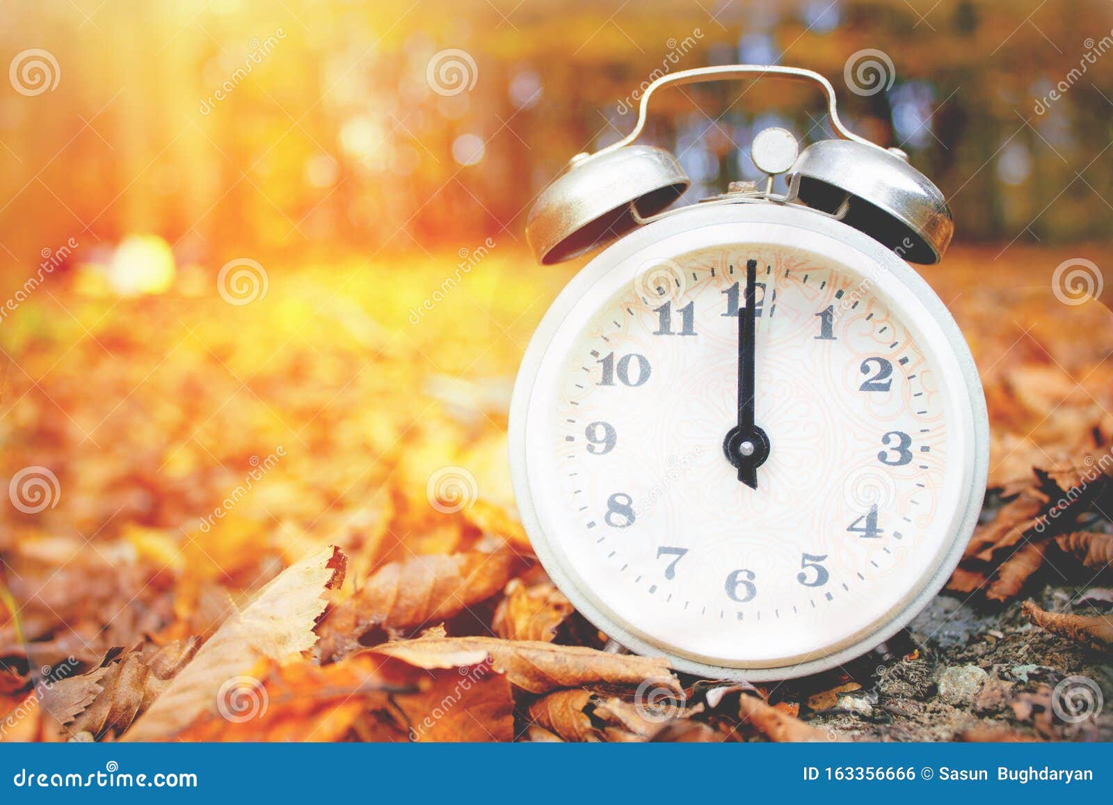 Summertime Winter Time Time Change Stock Photo Image of leaf, ticking