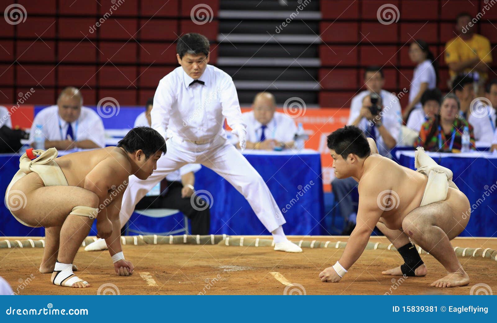 Sumo editorial photo. Image of beijing, event, force 15839381