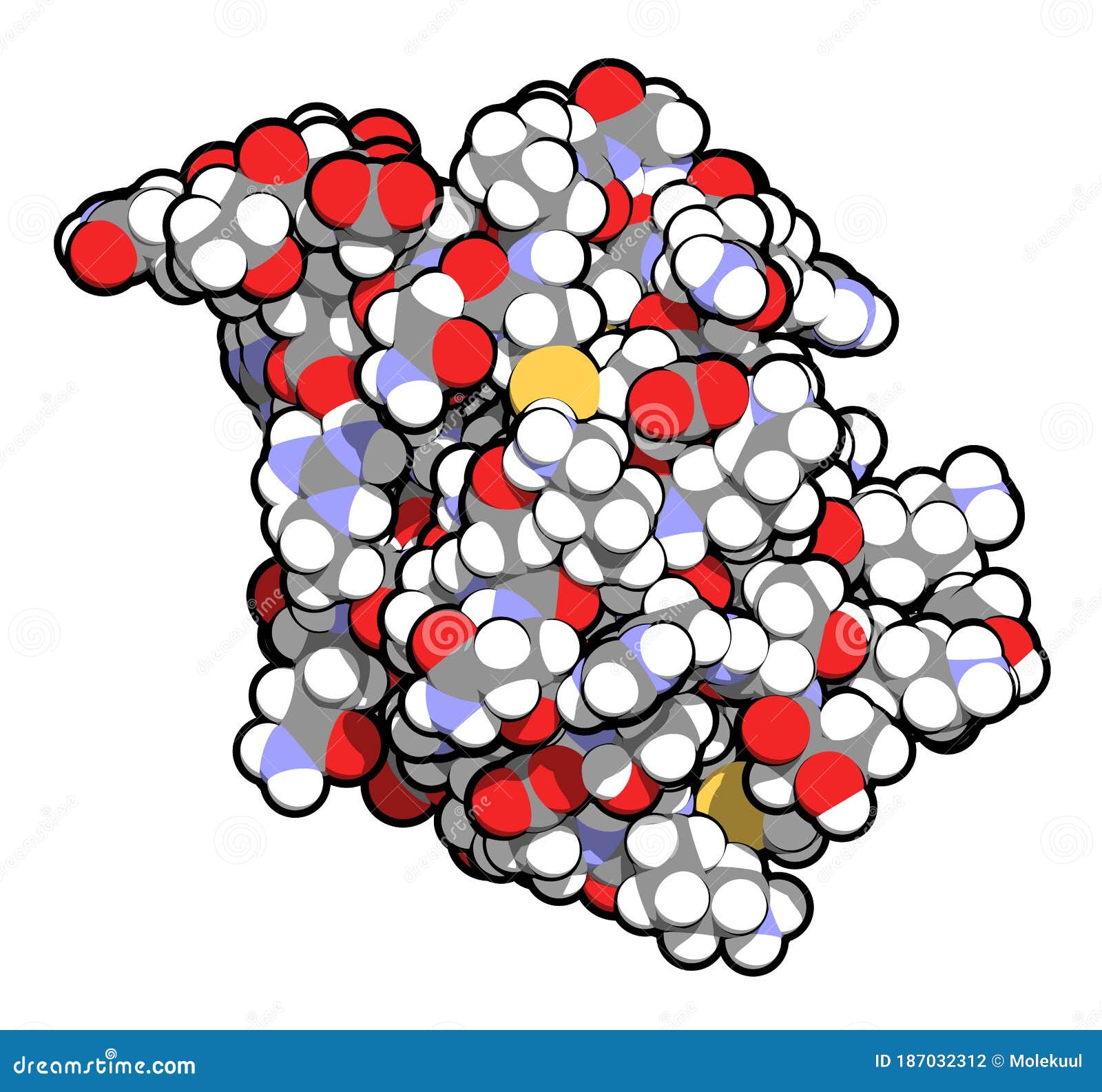 sumo (small ubiquitin-like modifier, sumo-1) protein. attachment of sumo to proteins is a post-translational modification called
