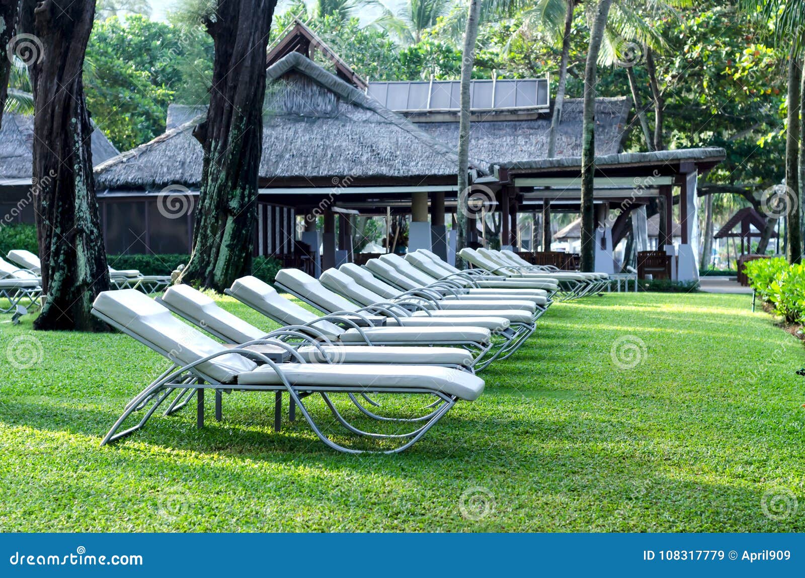 Sun Beds in Garden at Resort Stock Image Image of resort, travel
