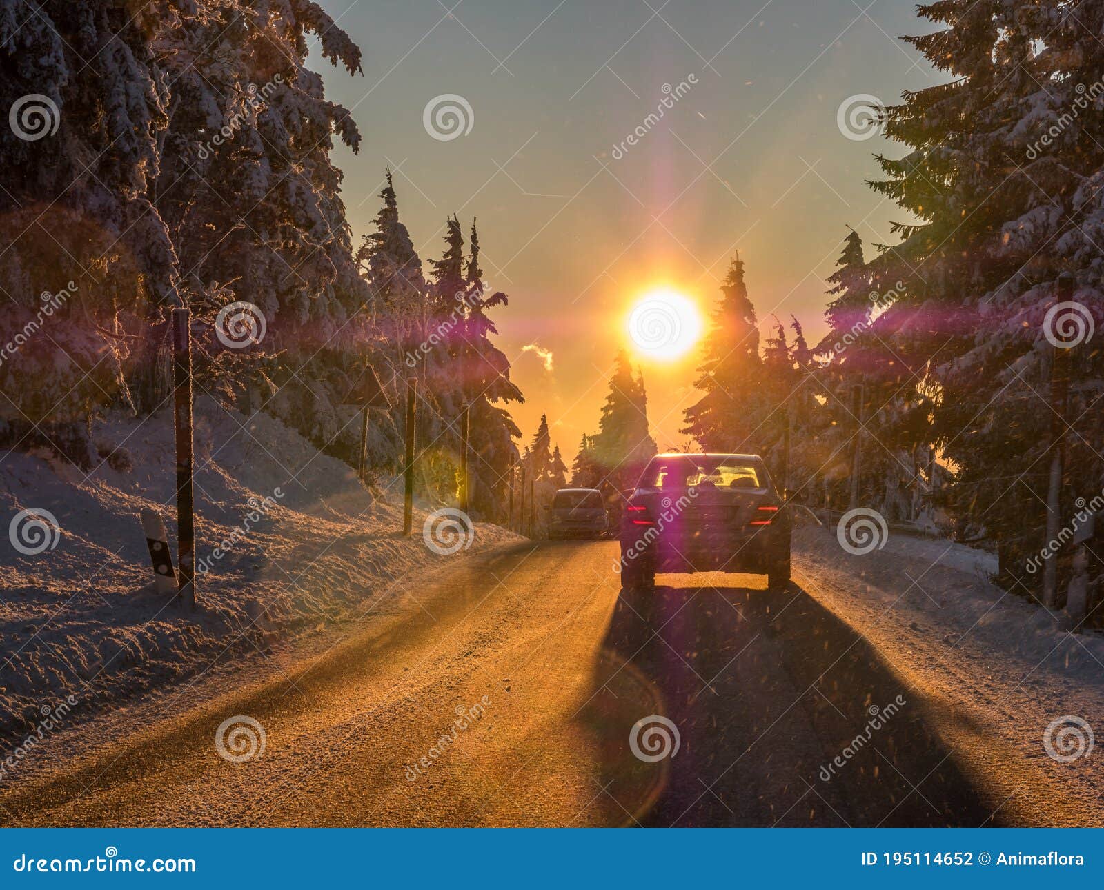 sun dazzles motorists in the winter landscape