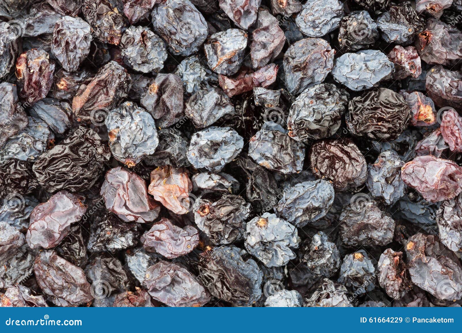 Sun Dried Raisins stock image. Image of raisin, dried 61664229