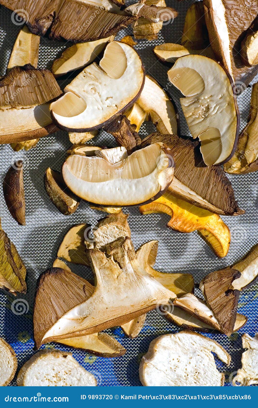 Sundry mushrooms stock photo. Image of cook, fungi, fried 9893720