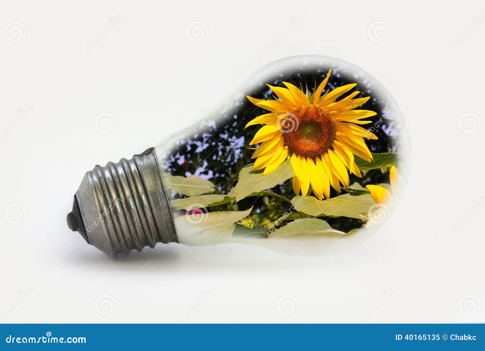 Sun flower in light bulbs. stock image. Image of isolated 40165135