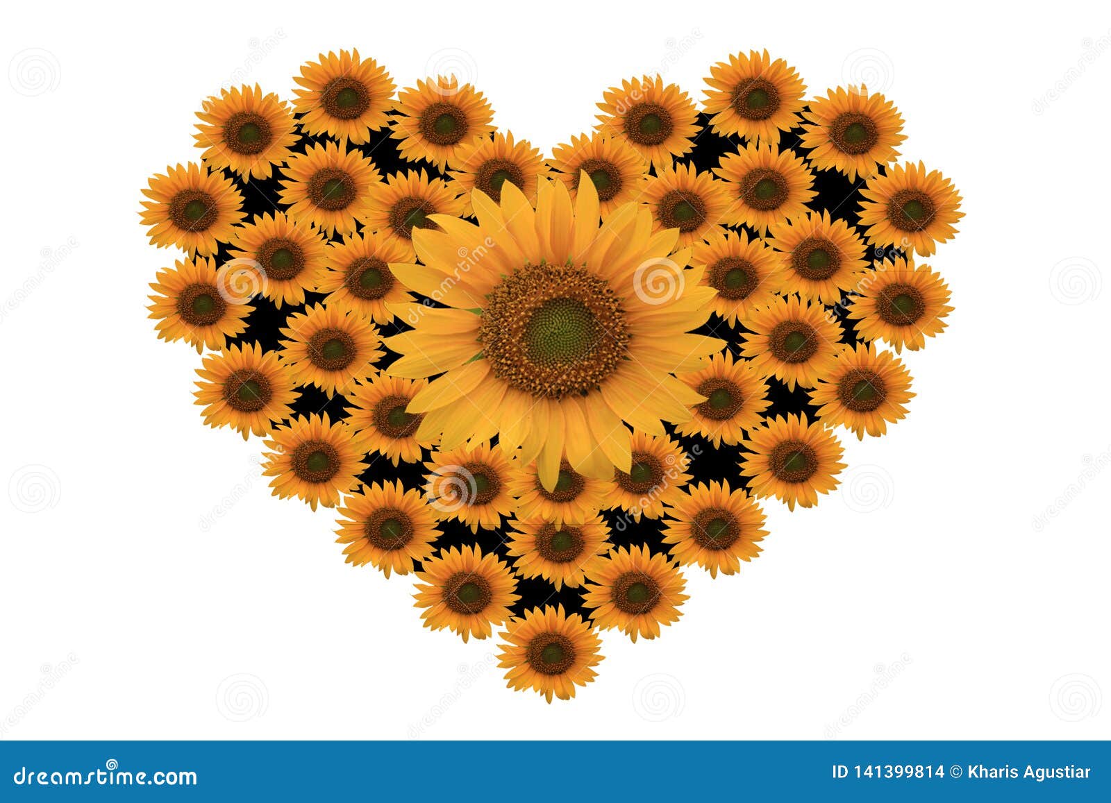 Love with sun flower stock photo. Image of fine, leaf 141399814