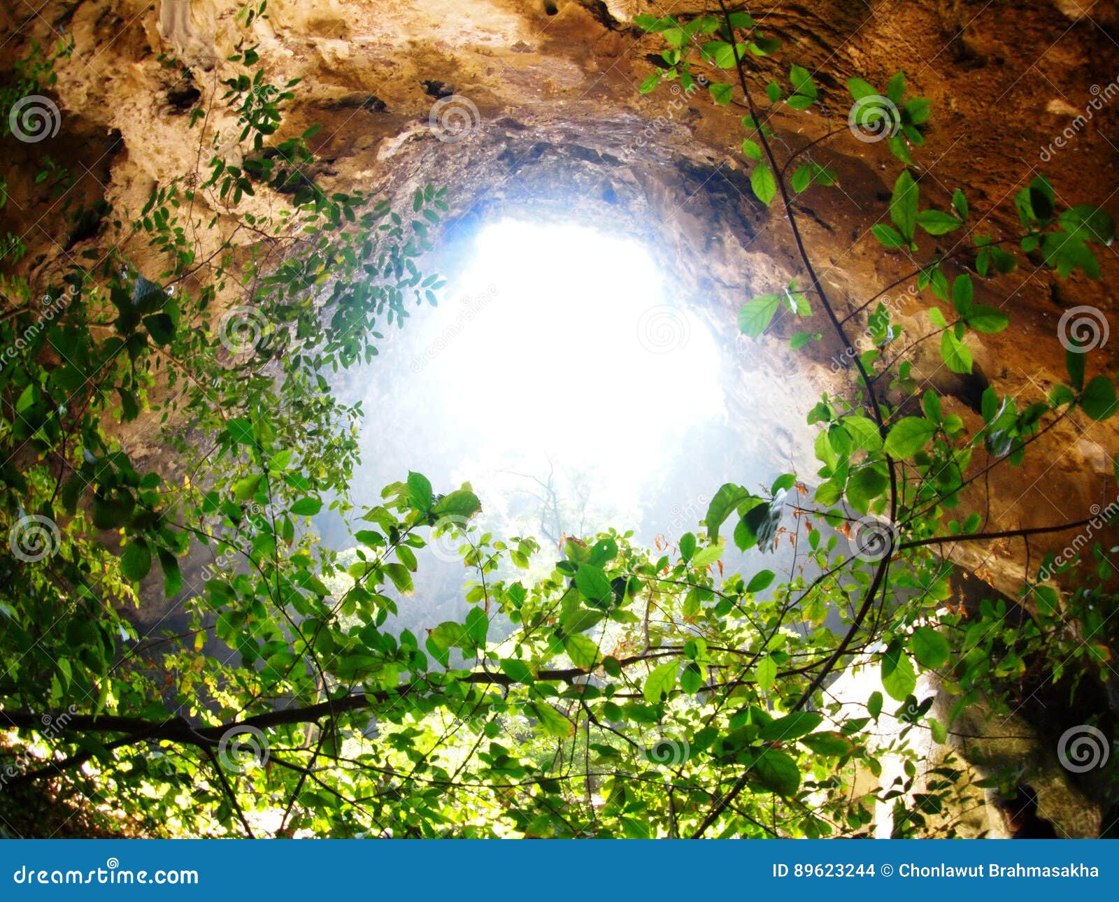 Sun Light Beam Through Cave Hole Crop View With Green Jungle Tree Stock