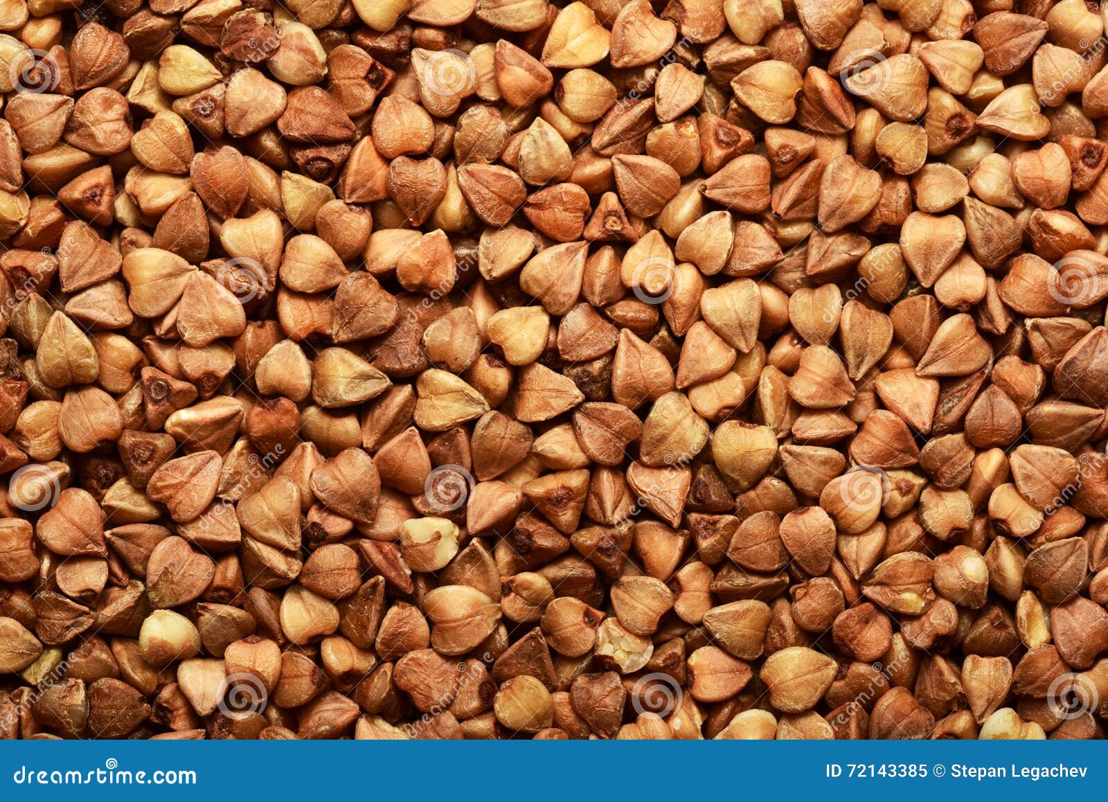Sunlighted Buckwheat Grain Seeds Closeup Stock Image Image of
