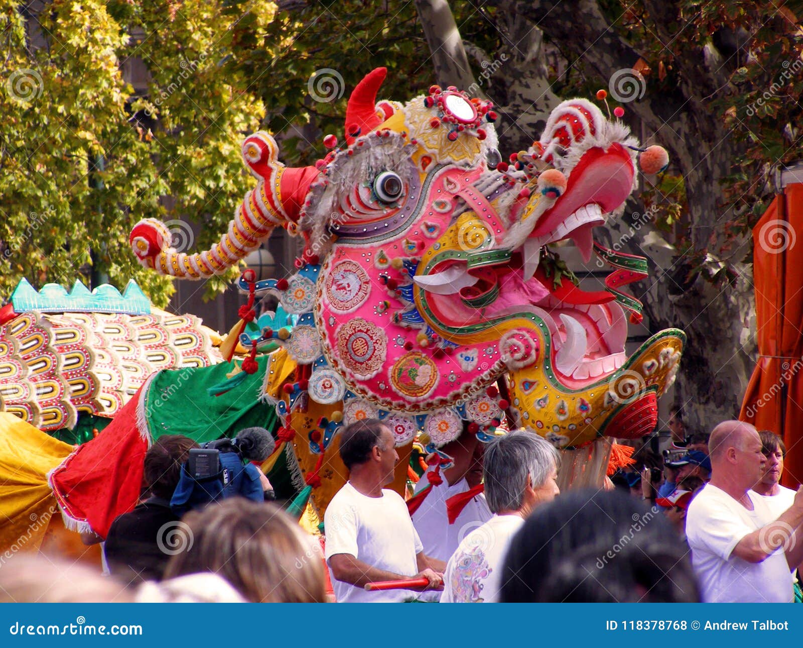 chinese new year bendigo dragon