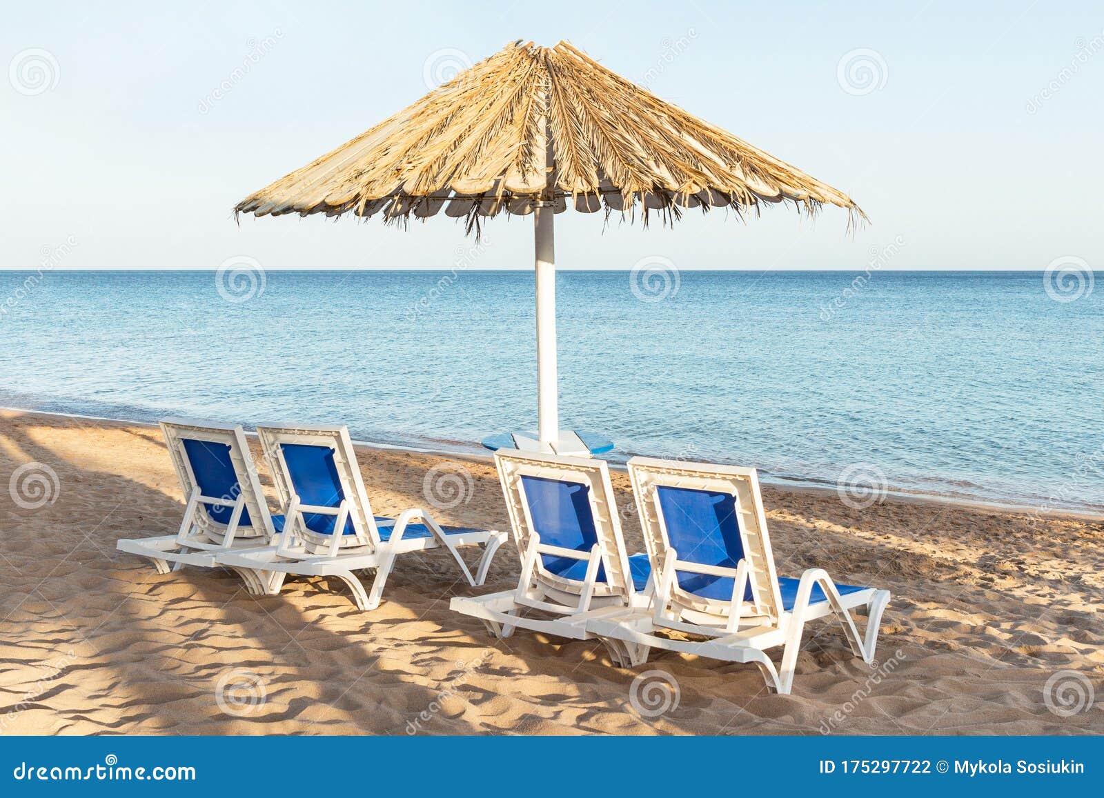 A Sun Lounger Under an Umbrella. Sandy Beach with Palm Trees with a ...