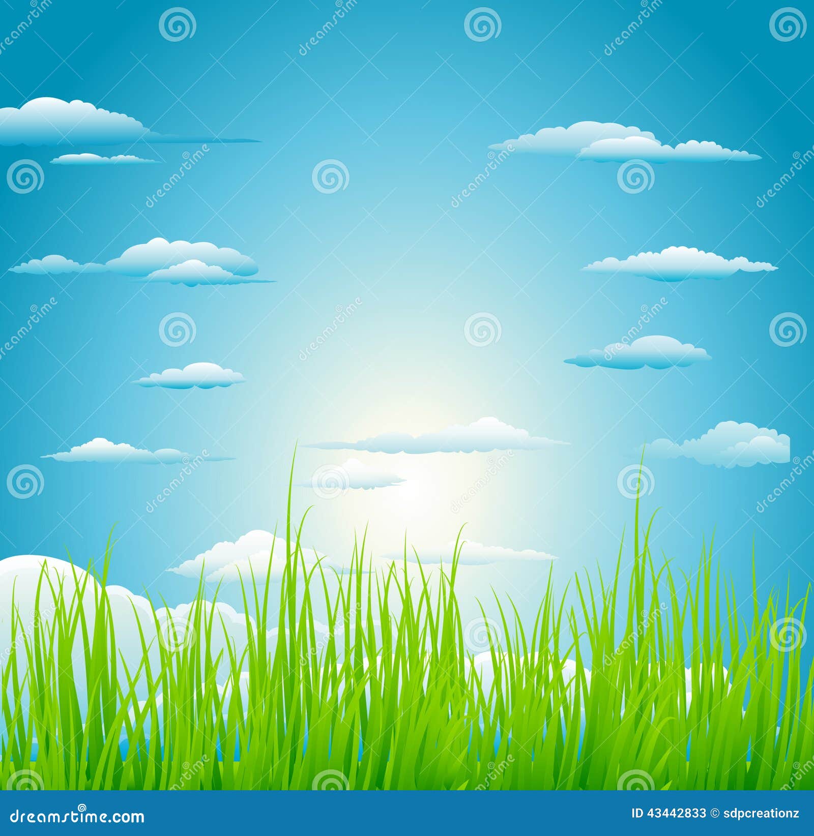My Image 24