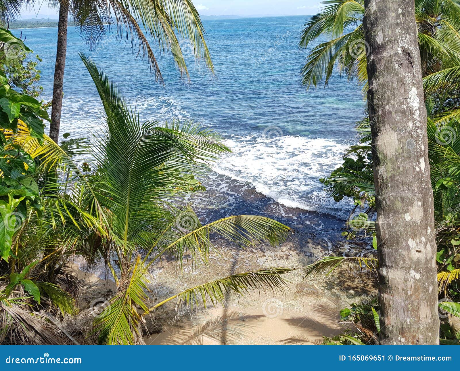 sun, palm trees, sand and sea in costa rica