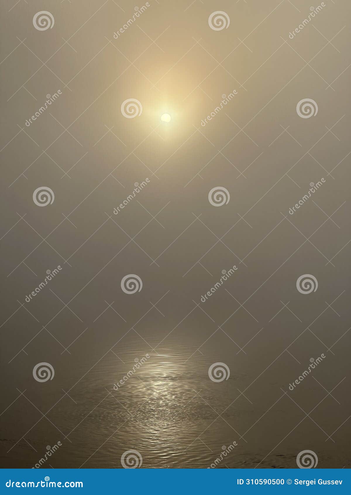 sun permeates through the thick fog over the river minho near eiras, o rosal, galicia, spain, december 2022