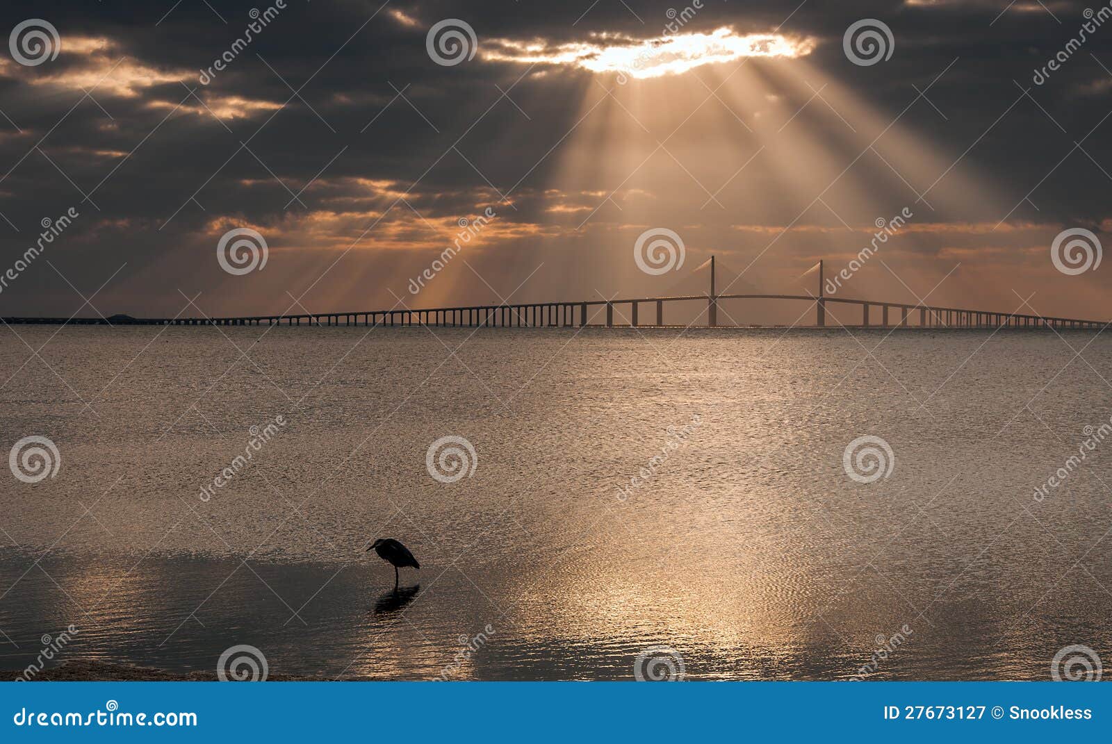 sunshine skyway bridge at dawn