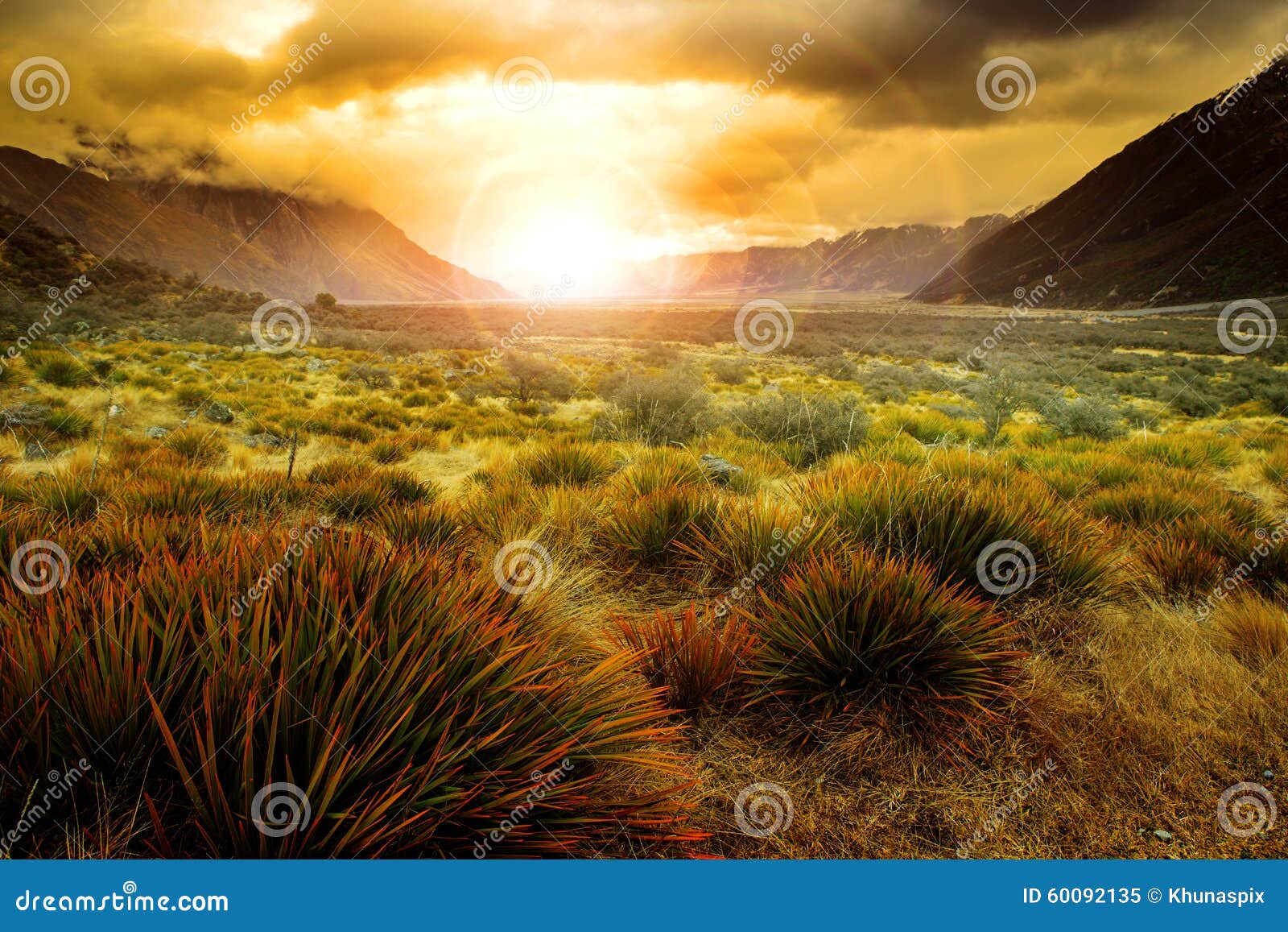 sun rising behind grass field in open country of new zealand sce