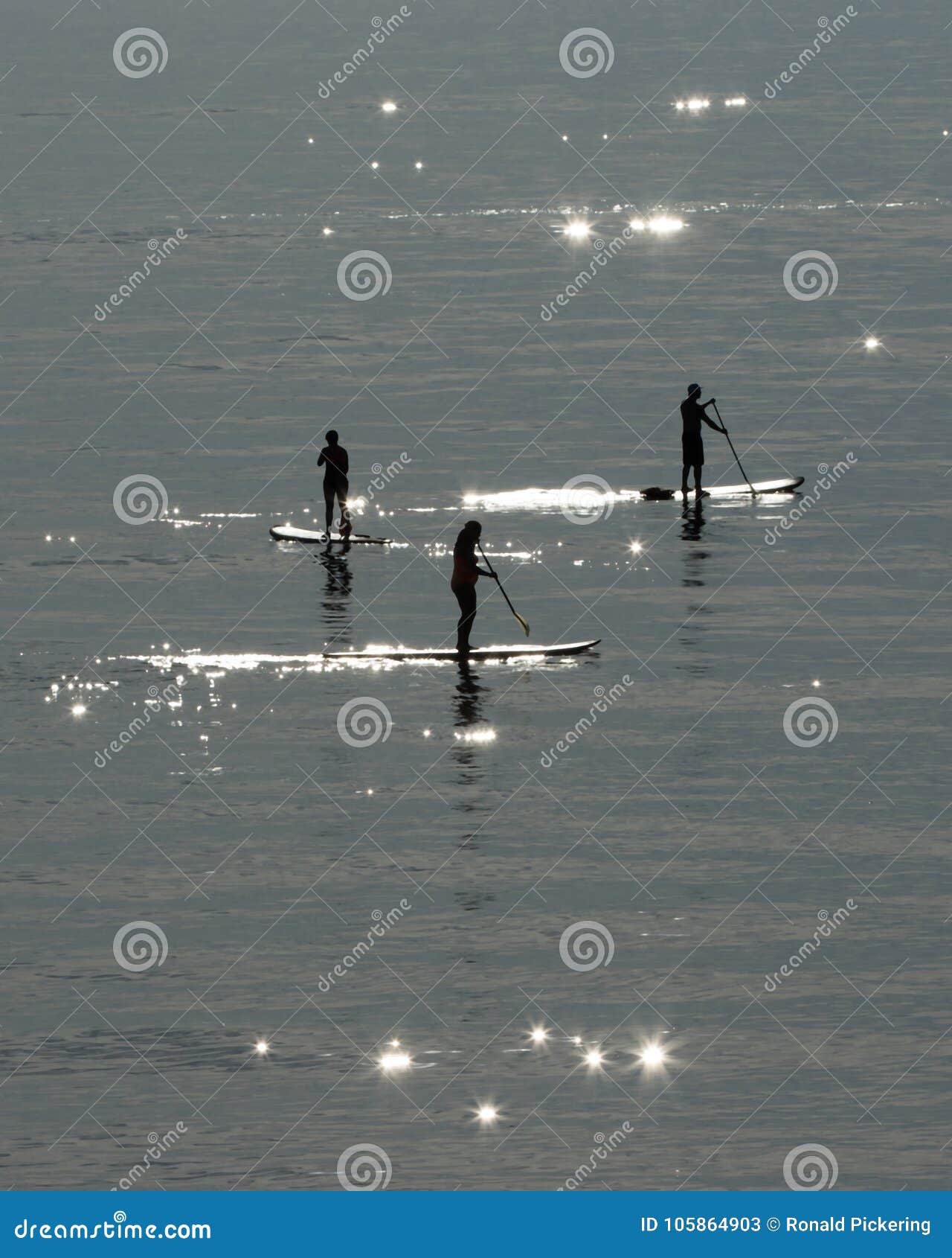 sun seekers at oval beach
