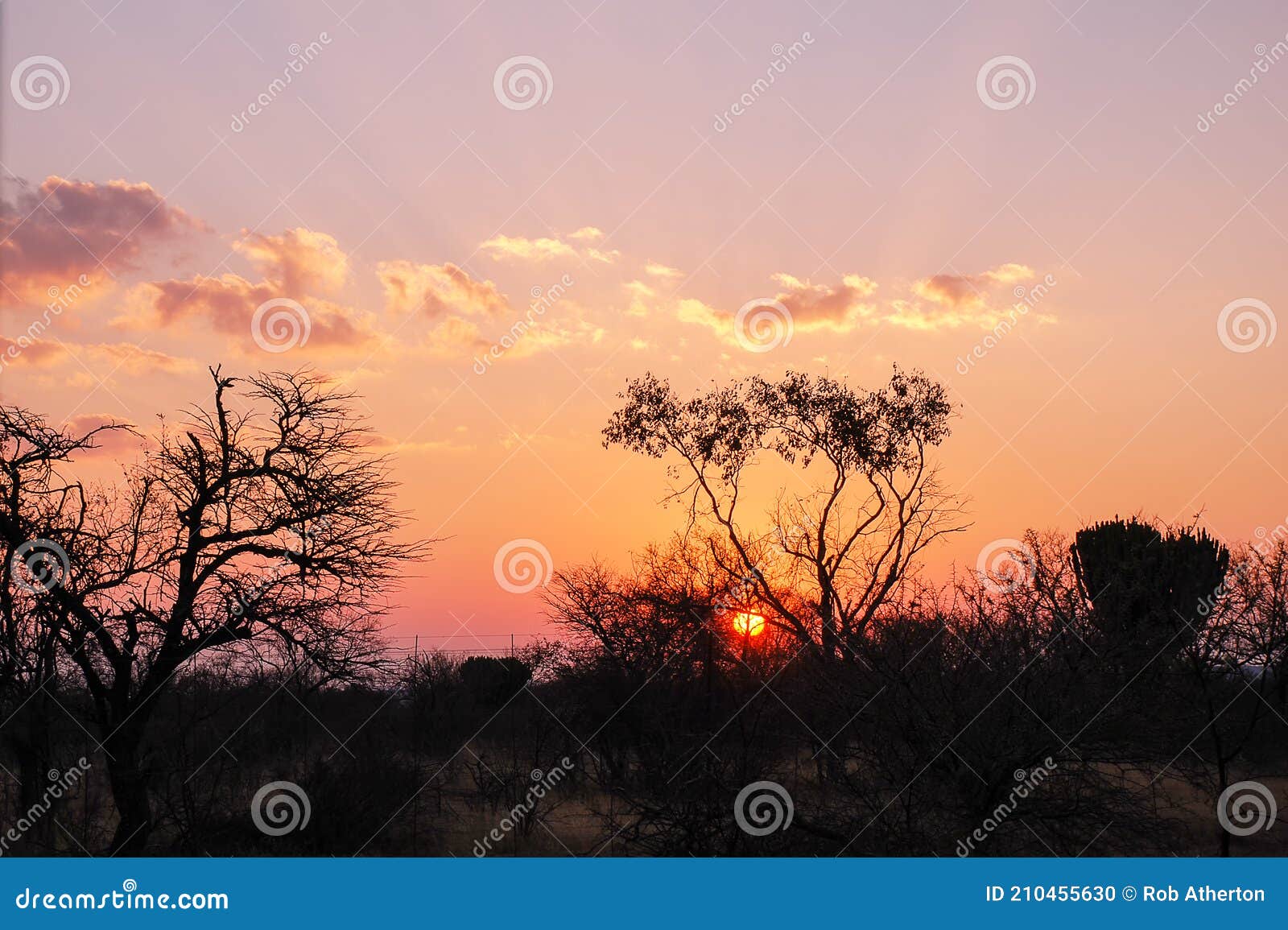 the sun sets over african landscape in the limpopo province