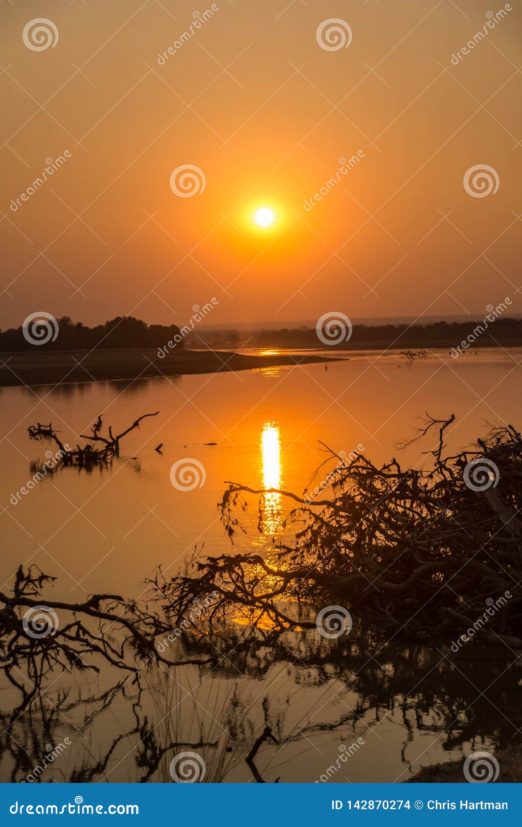 African Sunset with Trees in the Landscape Stock Photo - Image of plant ...