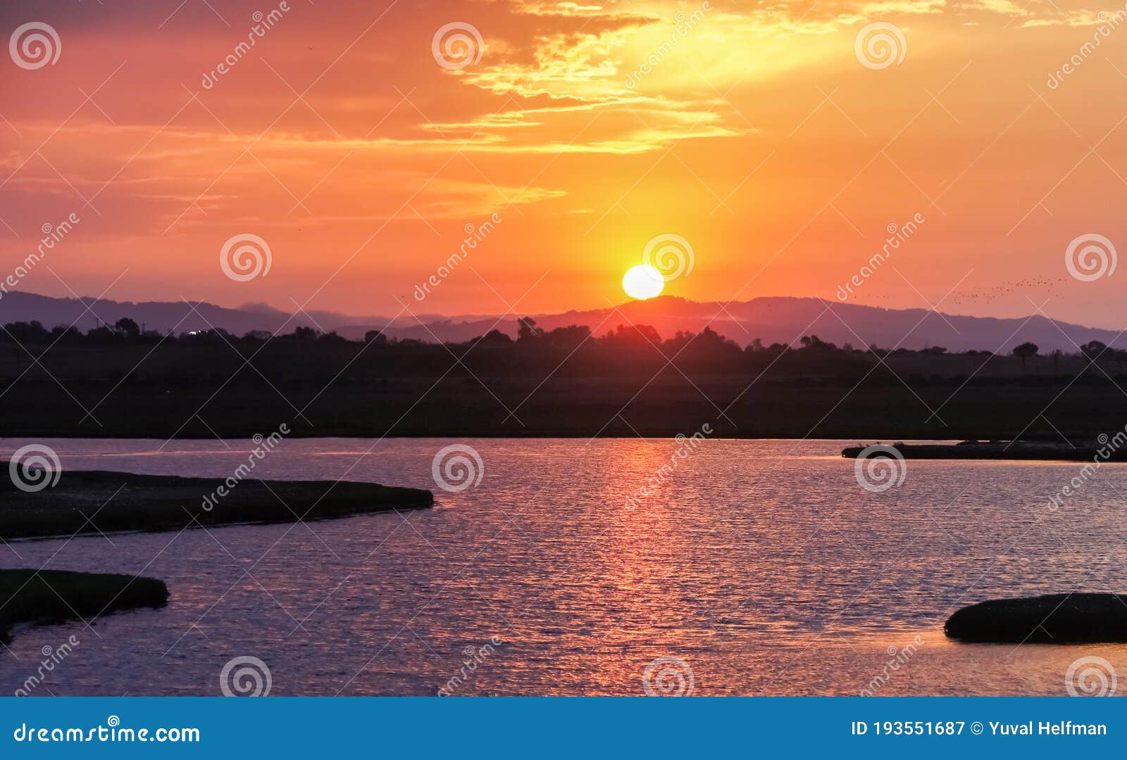 sun setting over baylands nature preserve
