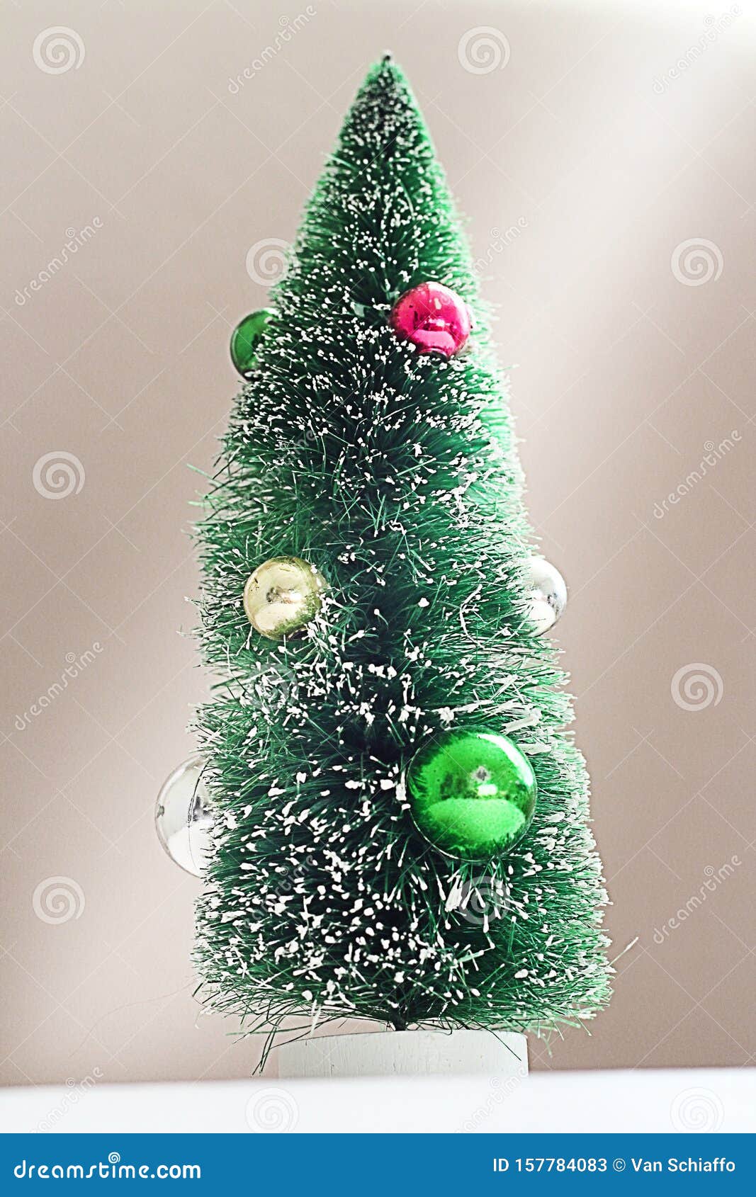 Sun Shining on a Christmas Tree Stock Image Image of green, white