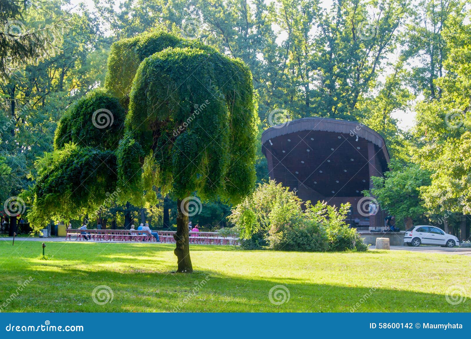 Sun Shining in Green Garden Stock Photo Image of light, swing 58600142