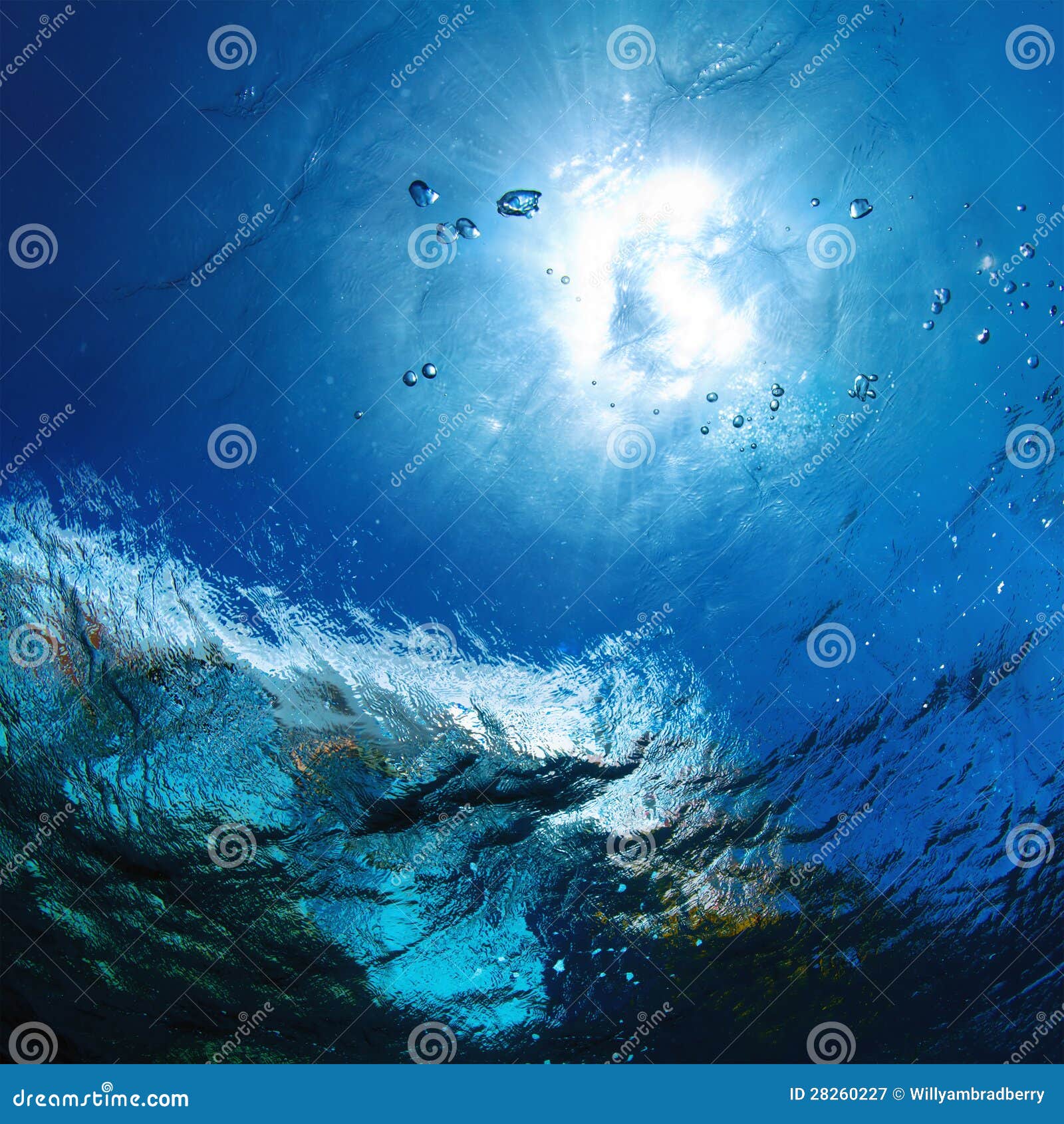 My Image 26