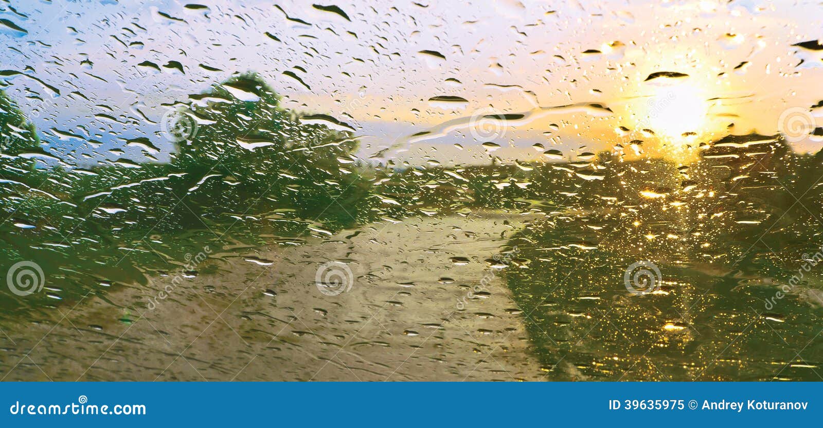 Sun shower stock image. Image of colorful, auto, bush 39635975