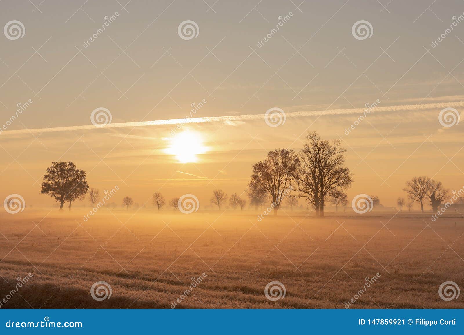 il sole riscalda il terreno ghiacciato.