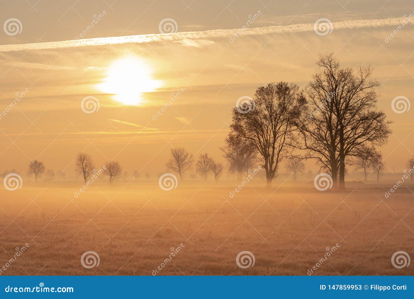 il sole riscalda il terreno ghiacciato.