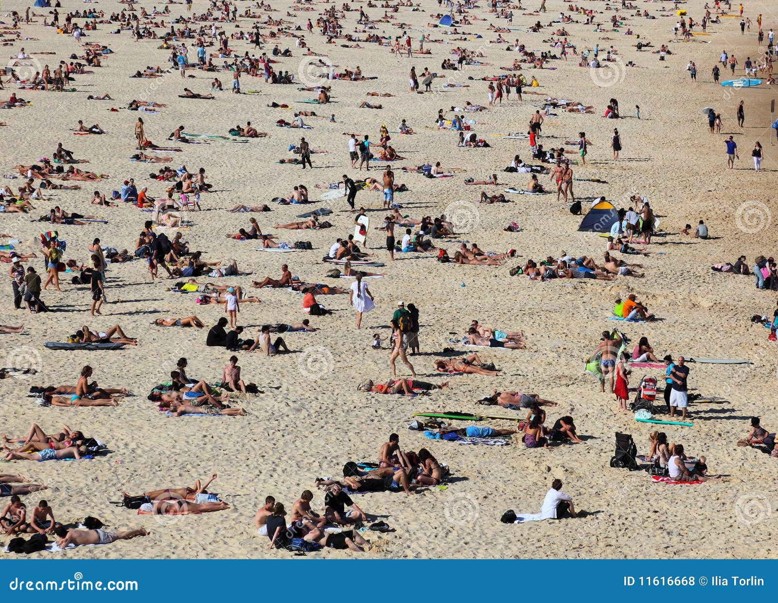 Sunbathers On Famous Bondi Beach Editorial Stock Photo Image Of