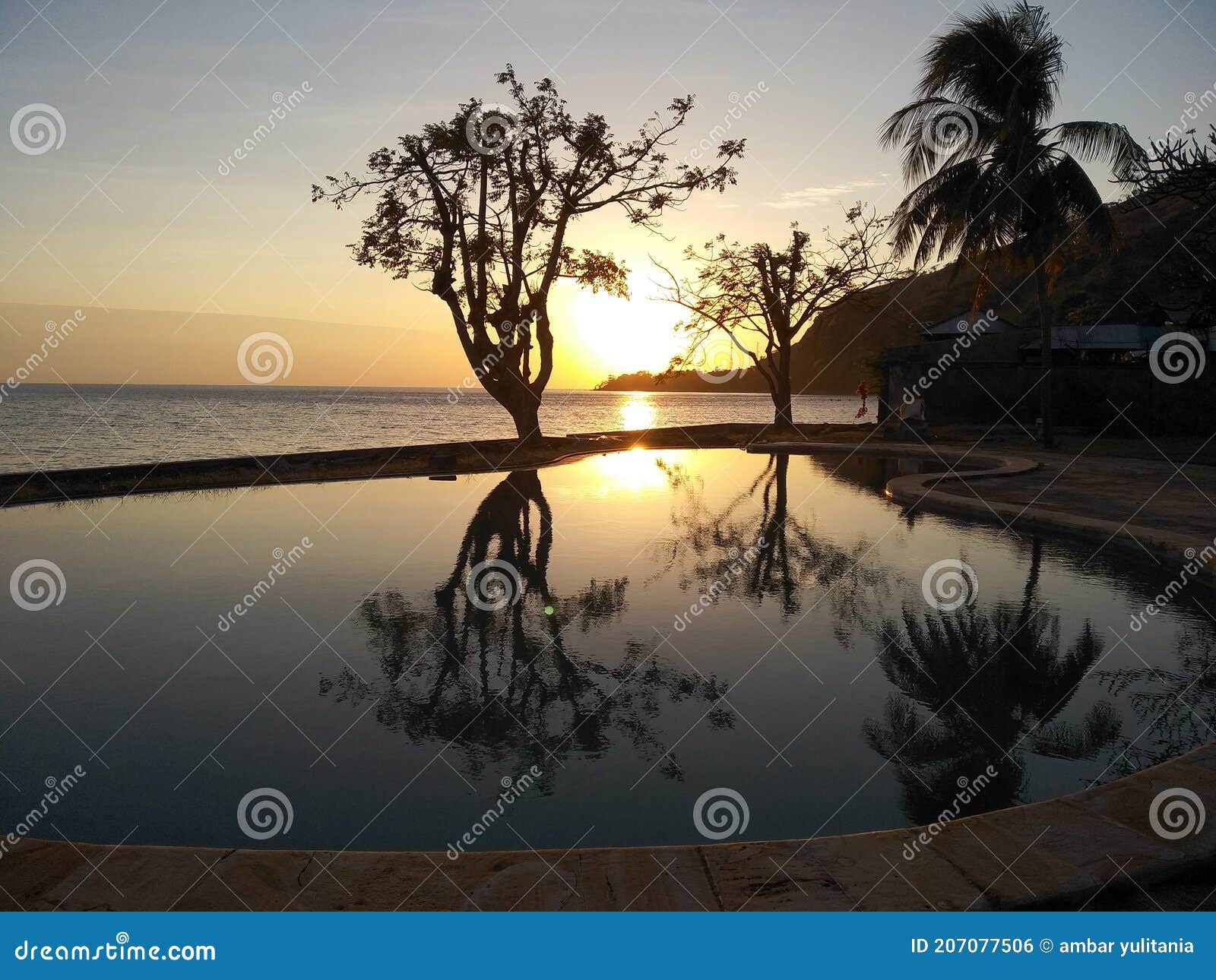 Sunbathing in the morning stock photo. Image of sunrise 207077506