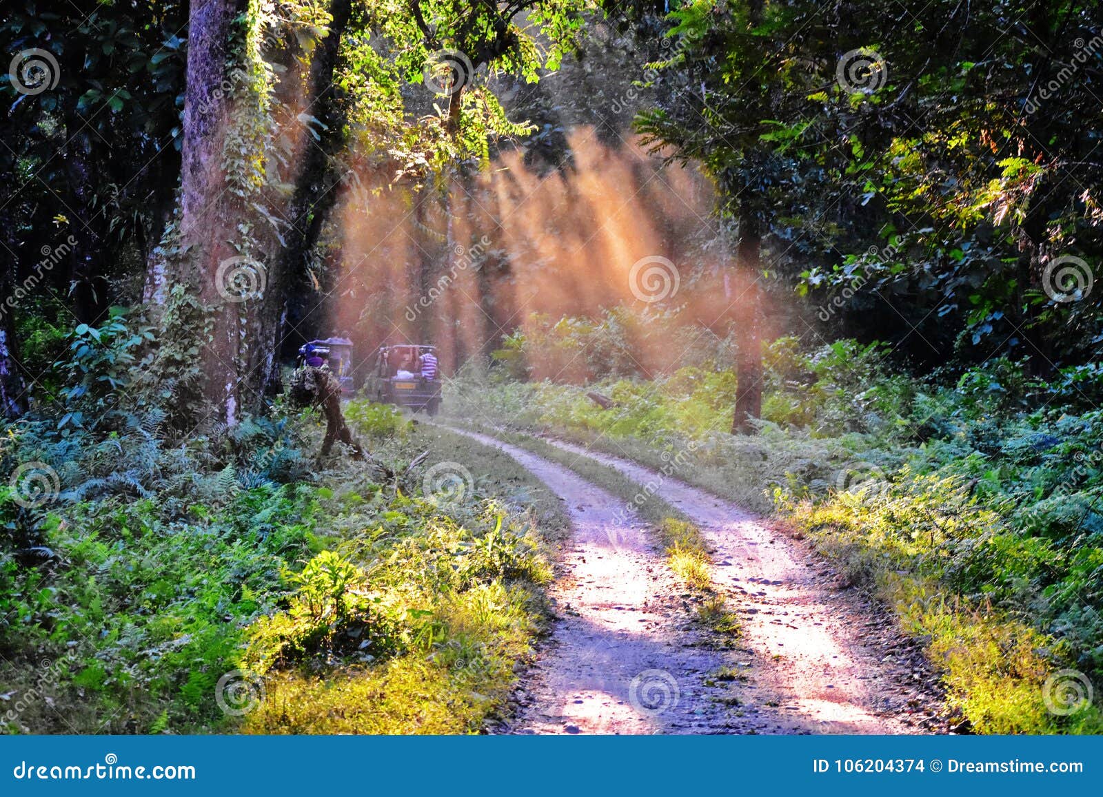 sunbeam lataguri jaldapara jungle jeepsy safari