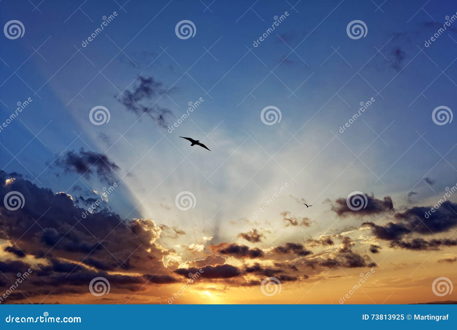 Sun Rays through Clouds with Seagull Flying in Romantic Sunset Sky ...