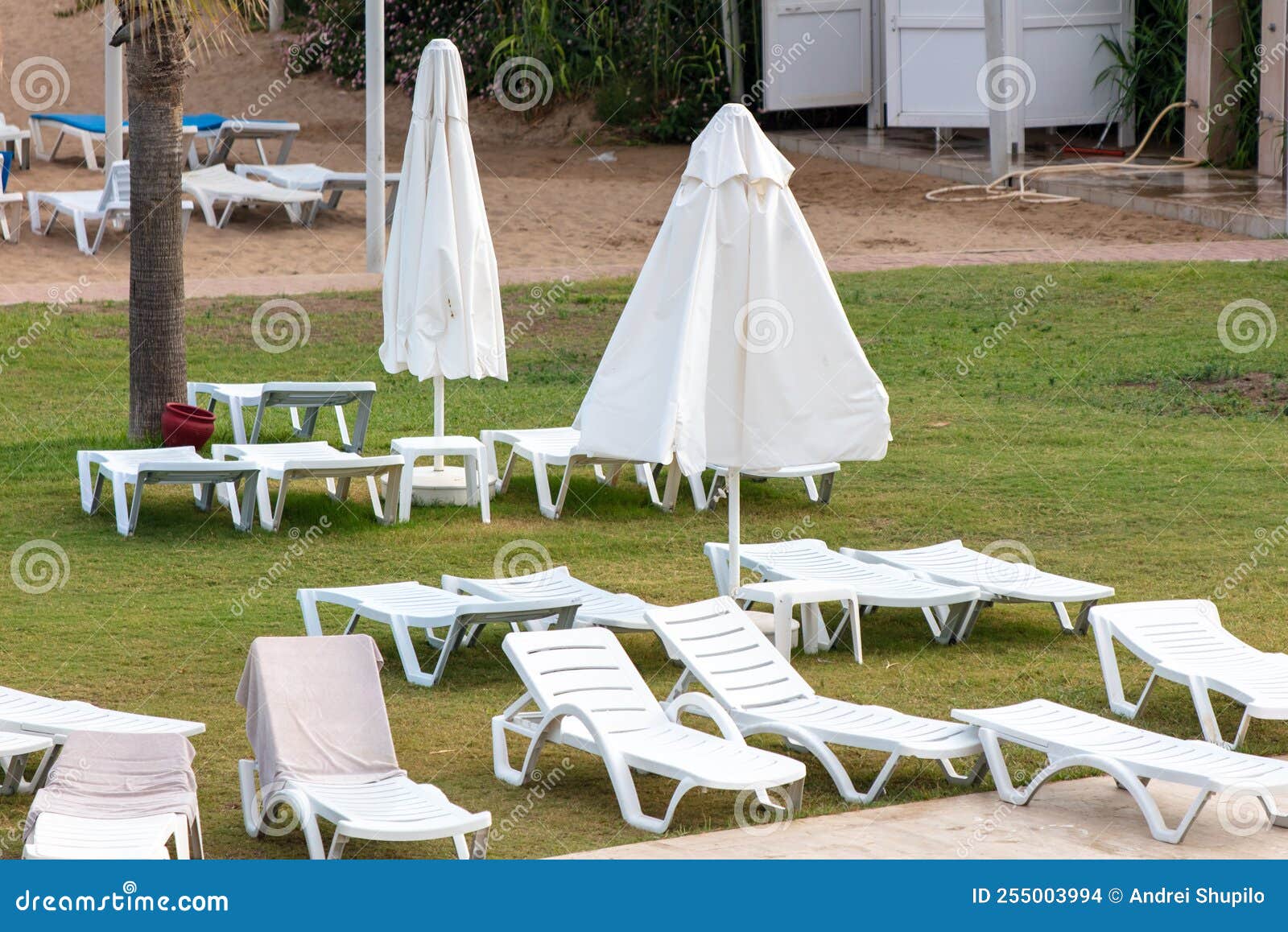 Sunbeds and Deck Chairs by the Pool. Stock Photo Image of hotel