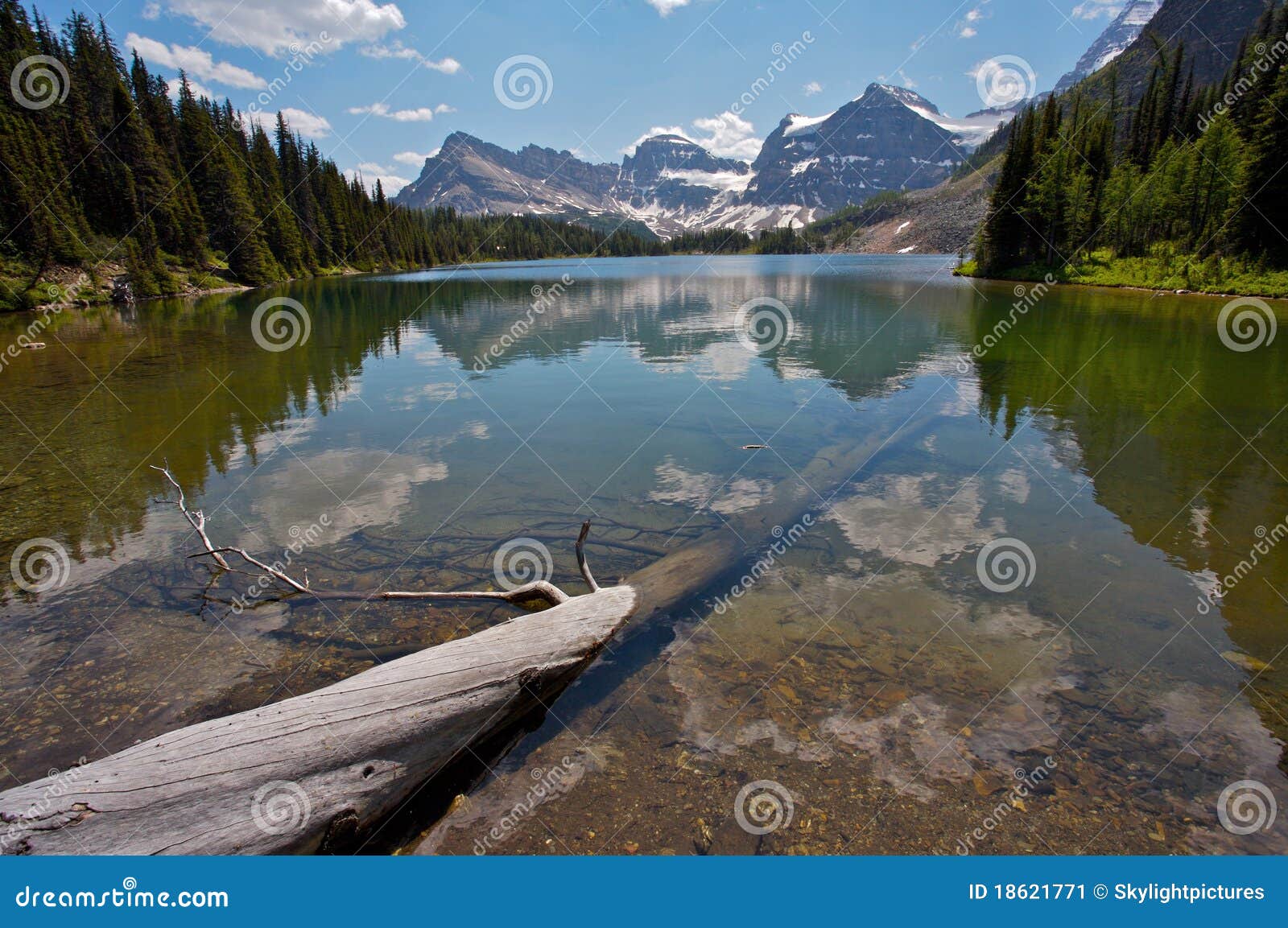 Sunburst Lake Rocky Mountains Stock Image Image of summits, trees 18621771