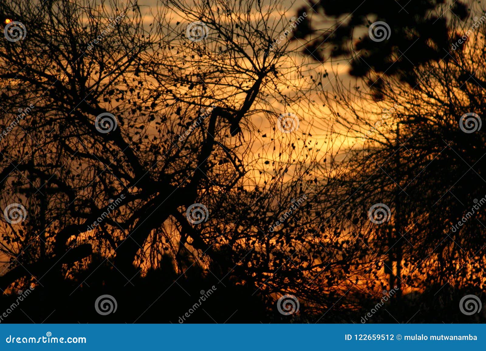 Sunday morning Sunrise stock photo. Image of morning 122659512