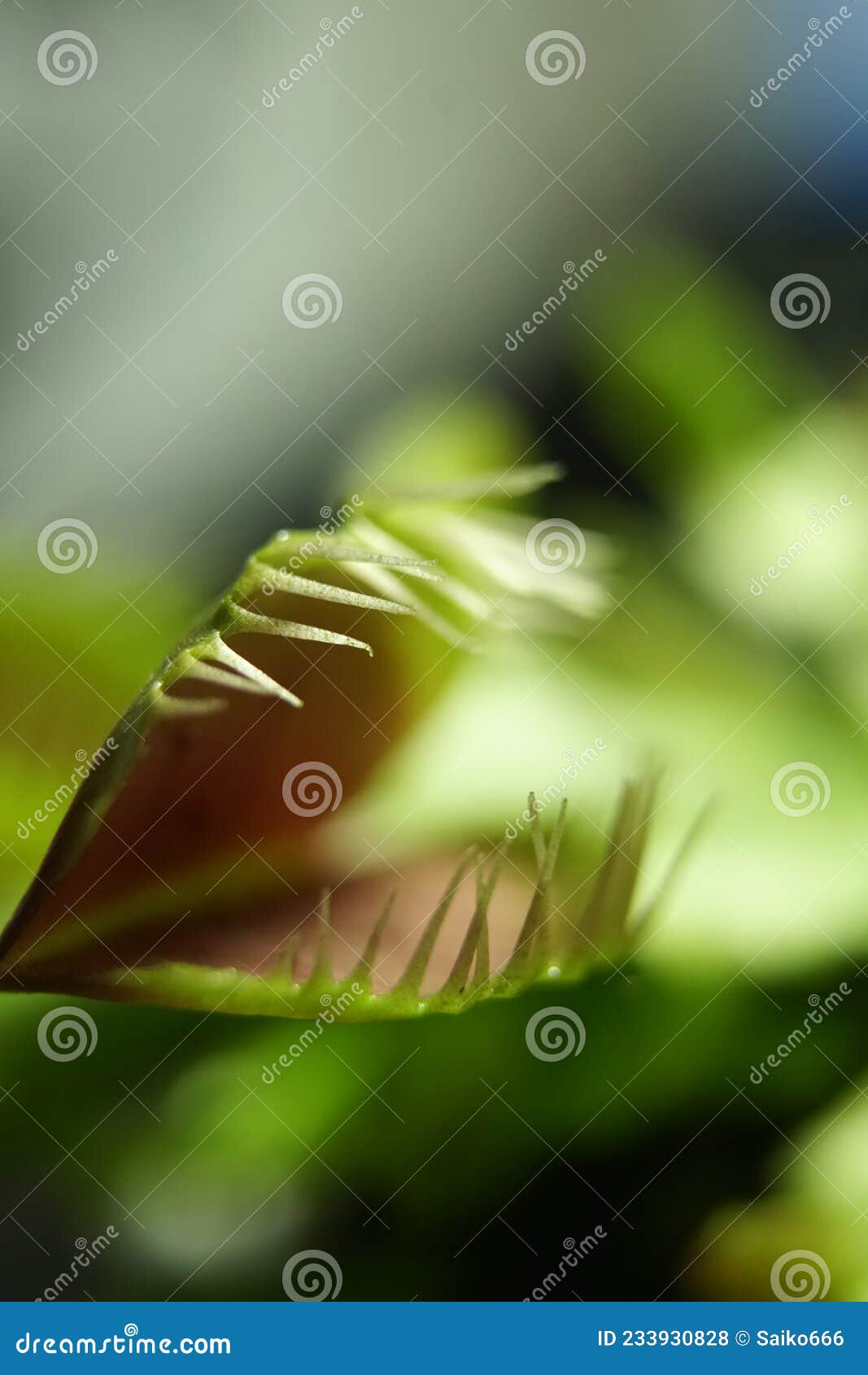 Undew Stock Photos - Free & Royalty-Free Stock Photos from Dreamstime