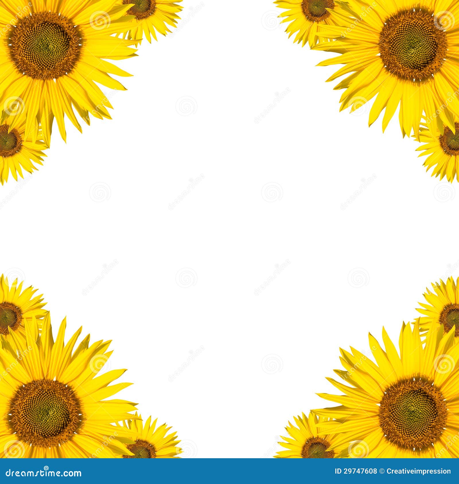 Sunflower Background Copyspace Stock Photo - Image of field, background:  29747608