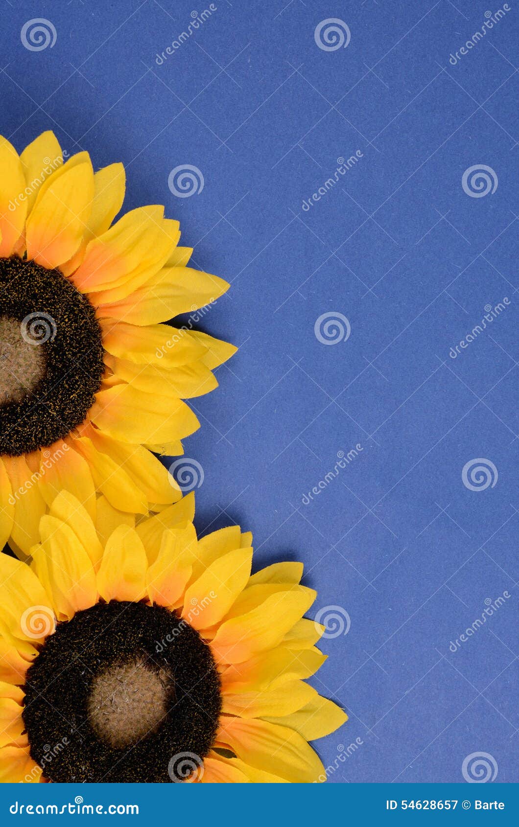 Sunflower background stock image. Image of summer, bright 54628657