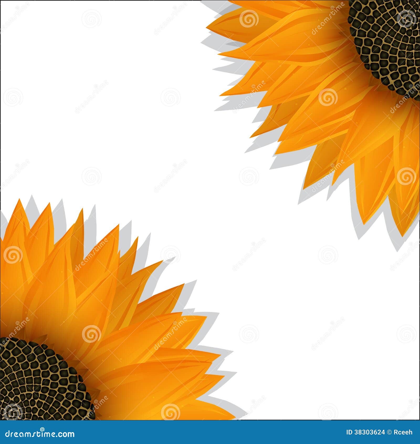 Sunflower banner stock vector. Illustration of isolated 38303624