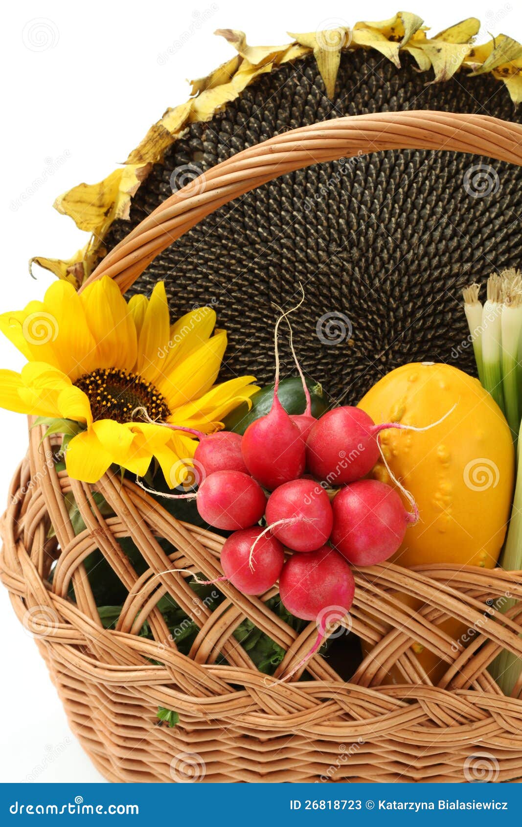 Sunflower in basket stock image. Image of nutritious 26818723