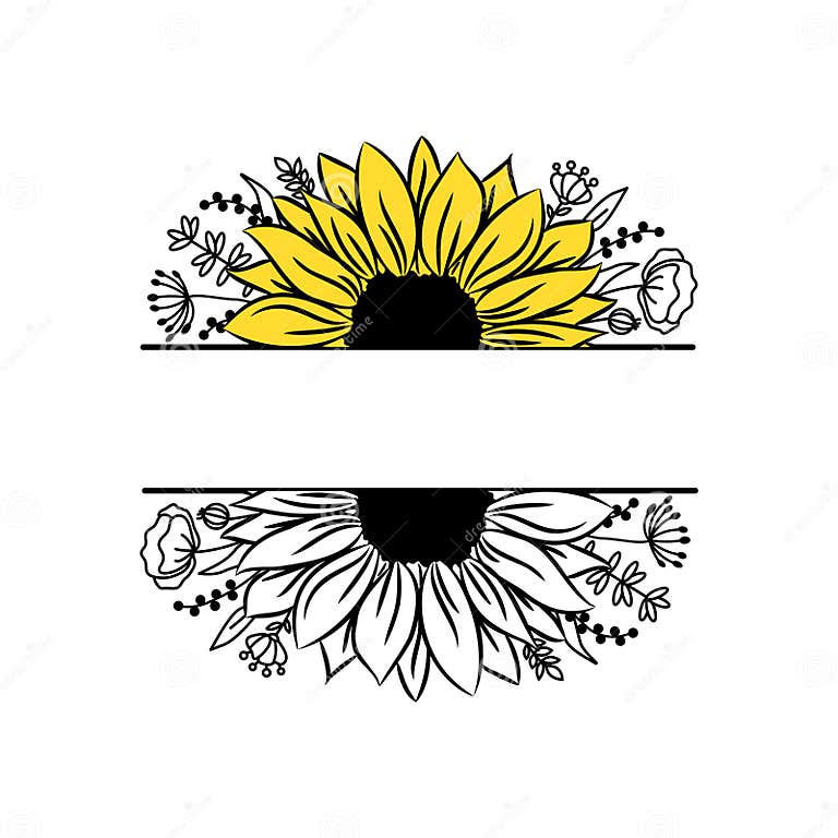 Sunflower Border Half Flowers Drawing and Outline. Set of Blooming ...